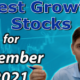 best growth stocks for september 2021