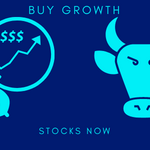 BUY GROWTH STOCKS NOW