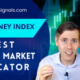 Big Money Index Best Market Indicator