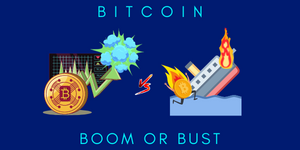 Bitcoin Boom or Bust