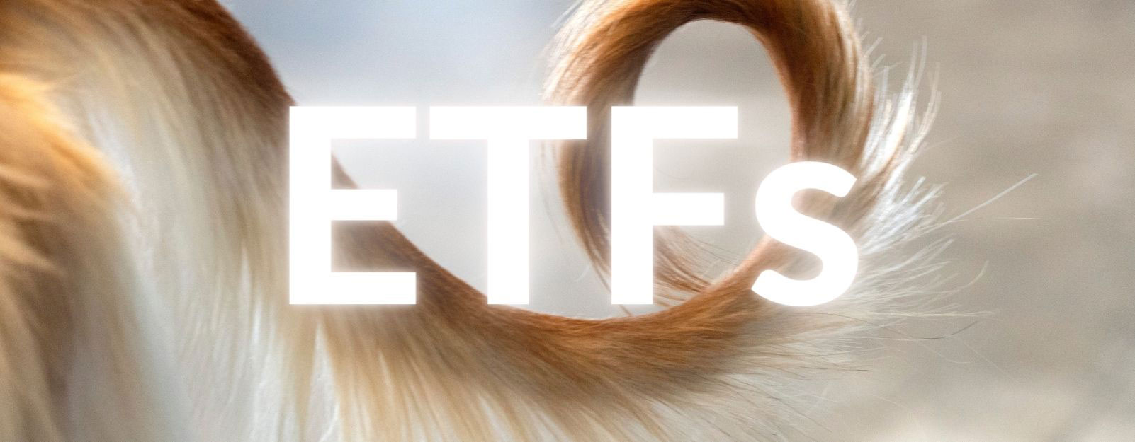 ETFs that wag the dog's tail