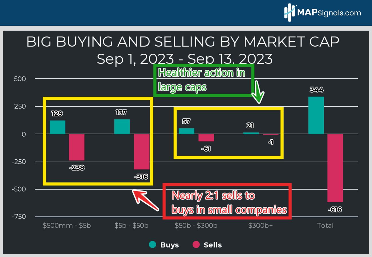 Big Money Buying & Selling by Market Cap | MAPsignals